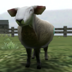 Crazy Cattle 3D